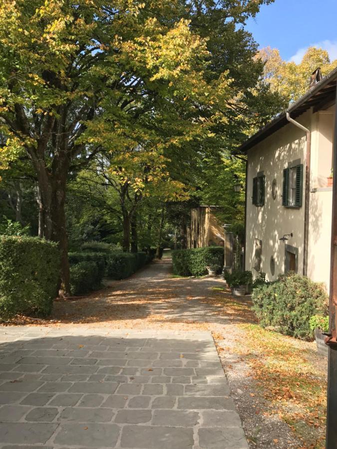 Agriturismo La Fattoria Di Capezzana Карміньяно Екстер'єр фото