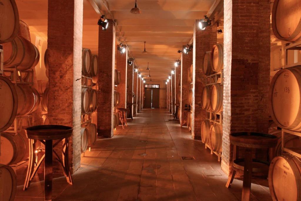 Agriturismo La Fattoria Di Capezzana Карміньяно Екстер'єр фото